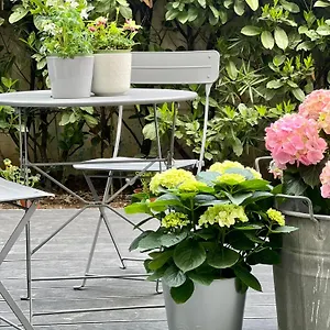 Loft G Hospitality Bed & Breakfast Milano